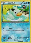 Ducklett (24/30) [XY: Trainer Kit - Pikachu Libre & Suicune] - Destination Retro