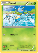 Surskit (13/160) [XY: Primal Clash] - Destination Retro