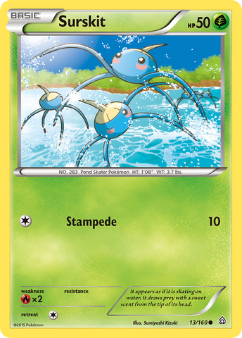 Surskit (13/160) [XY: Primal Clash] - Destination Retro