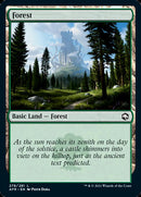Forest (278) [Dungeons & Dragons: Adventures in the Forgotten Realms] - Destination Retro