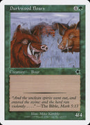 Durkwood Boars [Starter 1999] - Destination Retro