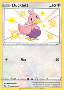 Ducklett (SV095/SV122) [Sword & Shield: Shining Fates] - Destination Retro