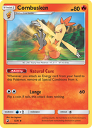 Combusken (5/70) [Sun & Moon: Dragon Majesty] - Destination Retro