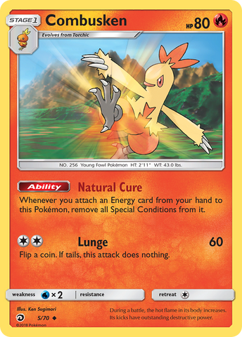 Combusken (5/70) [Sun & Moon: Dragon Majesty] - Destination Retro