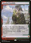 Wooded Foothills [Zendikar Rising Expeditions] - Destination Retro
