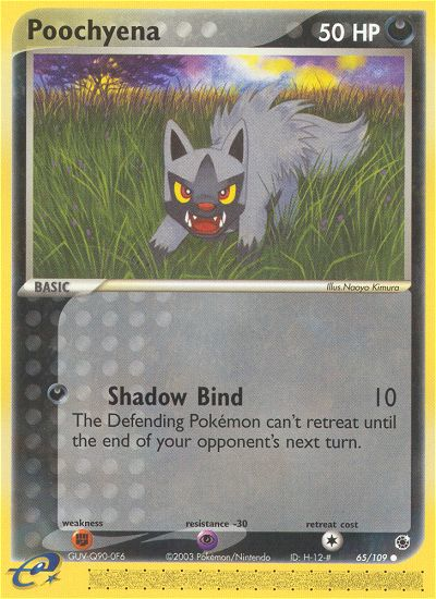 Poochyena (65/109) [EX: Ruby & Sapphire] - Destination Retro