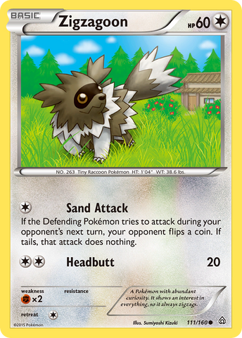 Zigzagoon (111/160) [XY: Primal Clash] - Destination Retro