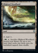 Blighted Woodland [Commander Legends: Battle for Baldur's Gate] - Destination Retro