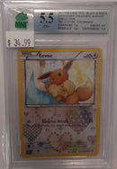 MNT - 5.5 - Eevee - Common Legendary Treasures: Radiant Collection - Pokemon TCG Black & White Series - Destination Retro