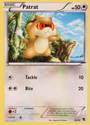 Patrat (29/30) [Black & White: Trainer Kit] - Destination Retro