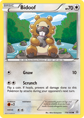 Bidoof (116/160) [XY: Primal Clash] - Destination Retro