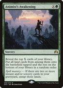 Animist's Awakening [Magic Origins] - Destination Retro