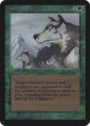Aspect of Wolf [Limited Edition Alpha] - Destination Retro