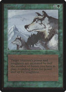 Aspect of Wolf [Limited Edition Beta] - Destination Retro