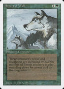 Aspect of Wolf [Revised Edition] - Destination Retro