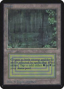 Bayou [Limited Edition Alpha] - Destination Retro