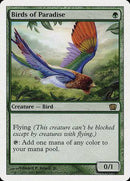 Birds of Paradise [Eighth Edition] - Destination Retro