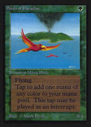 Birds of Paradise (IE) [Intl. Collectors’ Edition] - Destination Retro