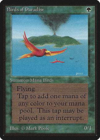 Birds of Paradise [Limited Edition Beta] - Destination Retro
