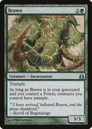 Brawn [Commander 2011] - Destination Retro