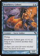 Briarberry Cohort [Shadowmoor] - Destination Retro