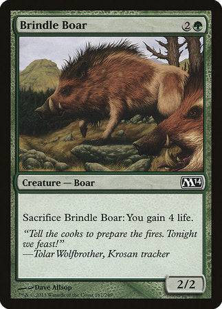 Brindle Boar [Magic 2014] - Destination Retro