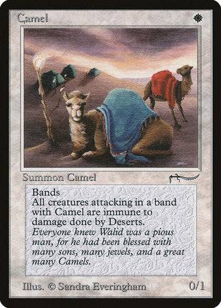 Camel [Arabian Nights] - Destination Retro