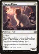 Charmed Stray [War of the Spark] - Destination Retro