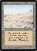 Elephant Graveyard [Arabian Nights] - Destination Retro
