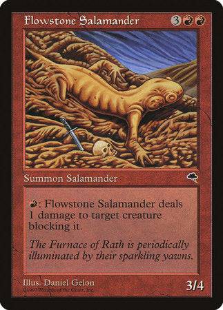 Flowstone Salamander [Tempest] - Destination Retro