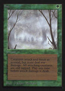 Fog (CE) [Collectors’ Edition] - Destination Retro