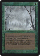 Fog [Limited Edition Alpha] - Destination Retro