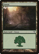 Forest (242) [Avacyn Restored] - Destination Retro