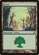 Forest (247) [Scars of Mirrodin] - Destination Retro