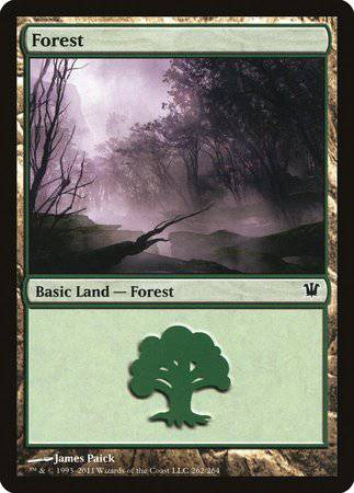 Forest (262) [Innistrad] - Destination Retro