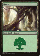 Forest (270) [Battle for Zendikar] - Destination Retro