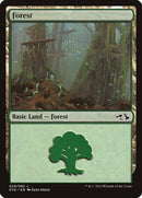 Forest (28) (Elves vs. Goblins) [Duel Decks Anthology] - Destination Retro