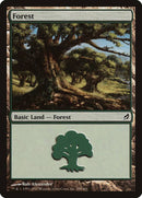Forest (299) [Lorwyn] - Destination Retro