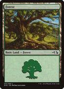 Forest (31) (Elves vs. Goblins) [Duel Decks Anthology] - Destination Retro