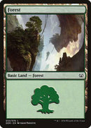 Forest (33) [Duel Decks: Nissa vs. Ob Nixilis] - Destination Retro