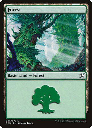 Forest (34) [Duel Decks: Elves vs. Inventors] - Destination Retro