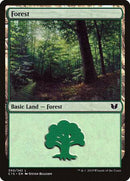 Forest (340) [Commander 2015] - Destination Retro