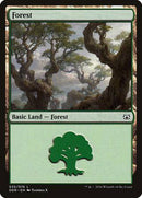 Forest (35) [Duel Decks: Nissa vs. Ob Nixilis] - Destination Retro