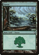 Forest (41) [Premium Deck Series: Slivers] - Destination Retro