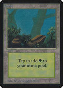 Forest (A) [Limited Edition Alpha] - Destination Retro