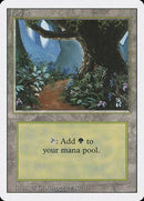 Forest (B) [Revised Edition] - Destination Retro