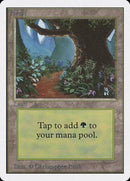Forest (B) [Unlimited Edition] - Destination Retro