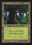 Forest (C) (CE) [Collectors’ Edition] - Destination Retro
