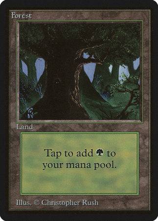 Forest (C) [Limited Edition Beta] - Destination Retro