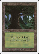Forest (C) [Unlimited Edition] - Destination Retro
